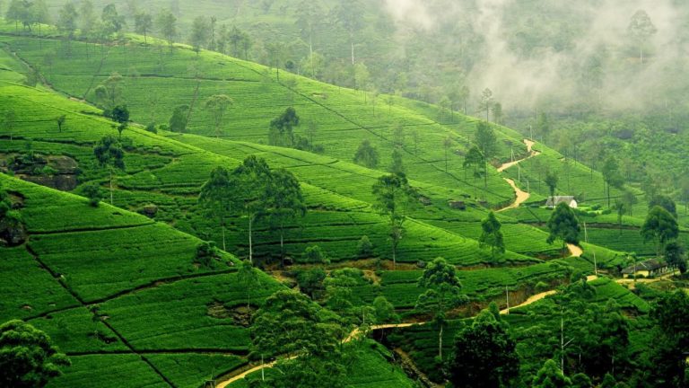 Jakkur Aerodrome to Chikmagalur